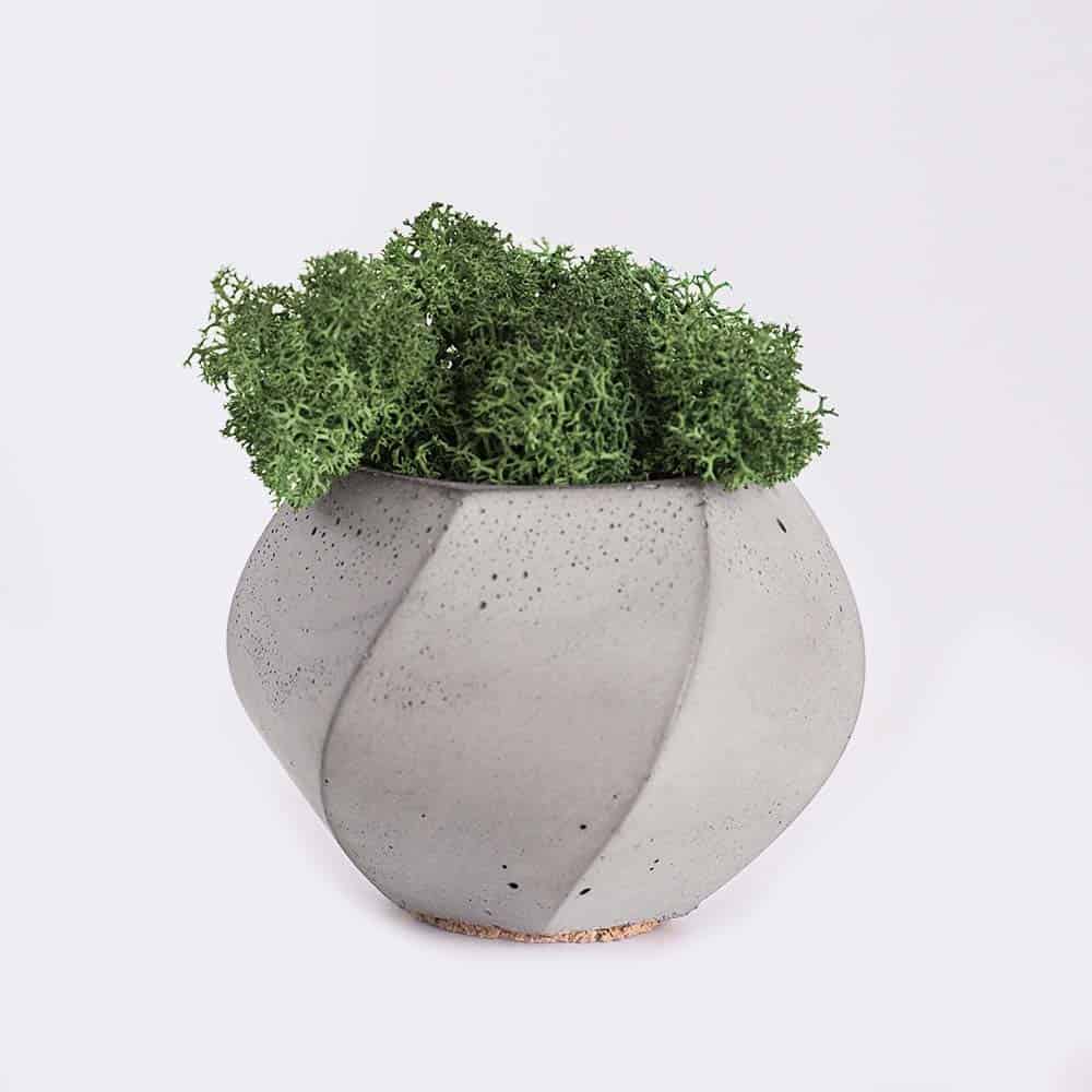 plant4-free-img